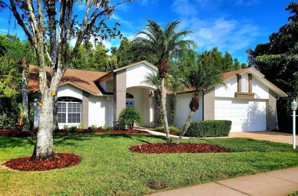 Property Slideshow image 2 of 50 | 1517 morning rose pl, Trinity, FL, 34655