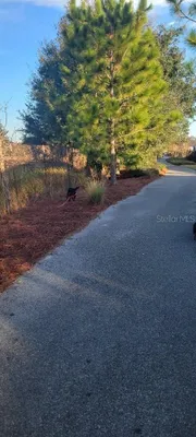 Property Slideshow image 3 of 14 | 4264 nw 57th ave, Ocala, FL, 34482