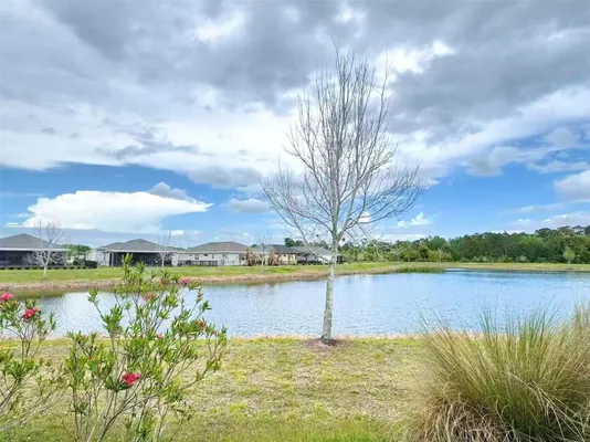 Property Slideshow image 3 of 21 | 3434 sagebrush st, Harmony, FL, 34773