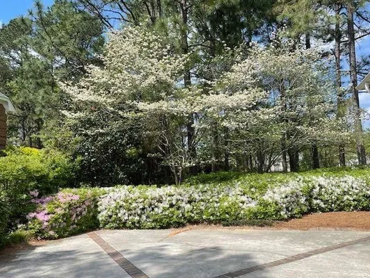 Property Slideshow image 2 of 19 | 913 holley lake rd, Aiken, SC, 29803