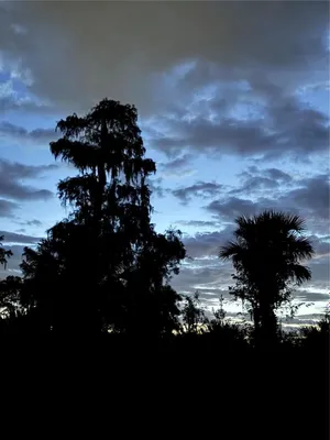 Property Slideshow image 3 of 5 | 1155 glendora rd n, Kissimmee, FL, 34759