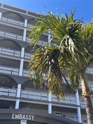 Property Slideshow image 2 of 57 | 5900 shore blvd 504, Gulfport, FL, 33707