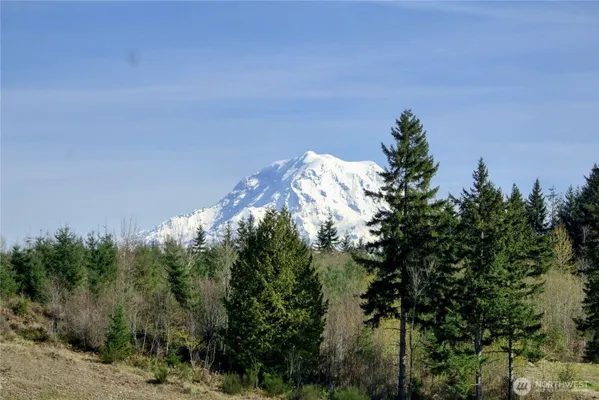 Property Slideshow image 3 of 40 | 15528 174th avenue ct, Bonney Lake, WA, 98391