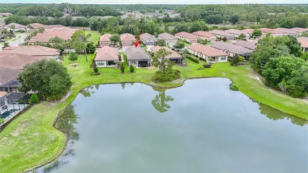Property Slideshow image 2 of 50 | 20111 sorano hill pl, Tampa, FL, 33647