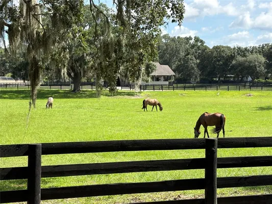 Property Slideshow image 3 of 56 | 17037 se 76th creekside cir, The Villages, FL, 32162