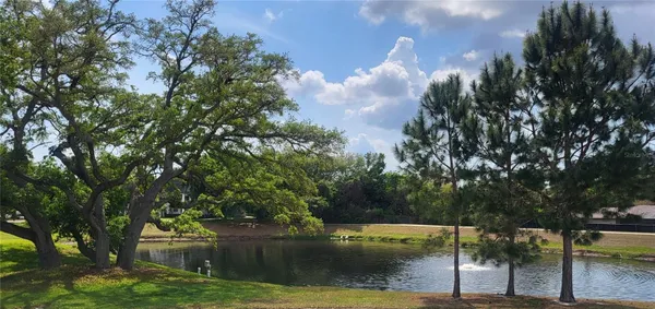 Property Slideshow image 3 of 22 | 2291 americus blvd 37, Clearwater, FL, 33763
