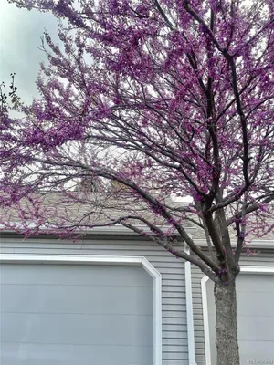 Property Slideshow image 2 of 33 | 13703 e marina dr a, Aurora, CO, 80014