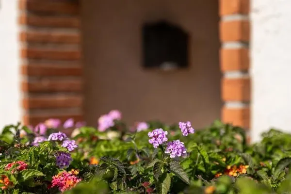 Property Slideshow image 2 of 28 | 17417 plaza sonada, San Diego, CA, 92128