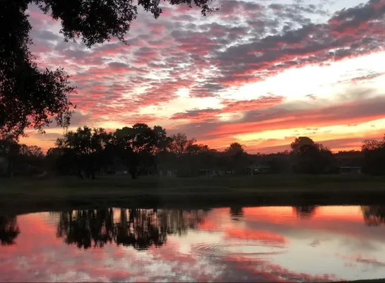 Property Slideshow image 2 of 96 | 2611 locksley st 250, Sun City Center, FL, 33573