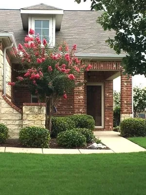 Property Slideshow image 2 of 24 | 559 rockledge ct, Frisco, TX, 75036