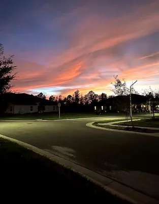 Property Slideshow image 3 of 25 | 16890 forge surf st, Land O Lakes, FL, 34638