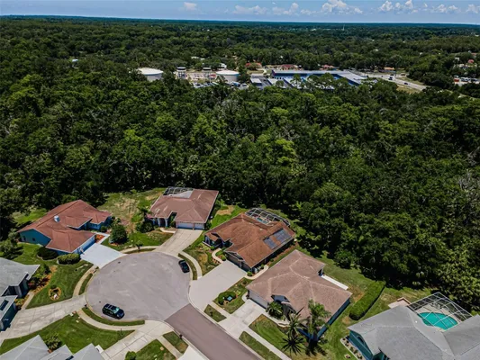 Property Slideshow image 3 of 79 | 6646 garden palm ct, New Port Richey, FL, 34655
