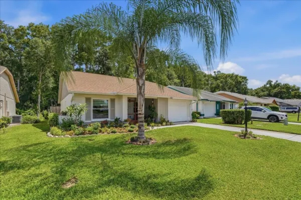 Property Slideshow image 3 of 58 | 11602 white ash dr, New Port Richey, FL, 34654
