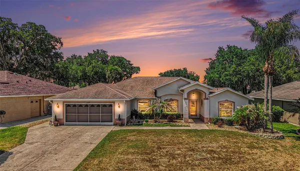 Property Slideshow image 2 of 30 | 11132 moshie ln, San Antonio, FL, 33576