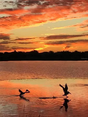 Property Slideshow image 3 of 62 | 1151 riverscape st 1151, Bradenton, FL, 34208