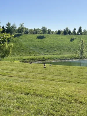 Property Slideshow image 3 of 61 | 1331 madison ln, Spring Hill, TN, 37174