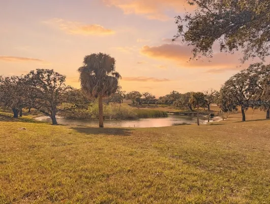 Property Slideshow image 2 of 45 | 11431 dollar lake dr 1, Port Richey, FL, 34668