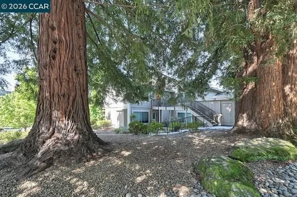 Property Slideshow image 3 of 53 | 2175 cactus ct 1, Walnut Creek, CA, 94595