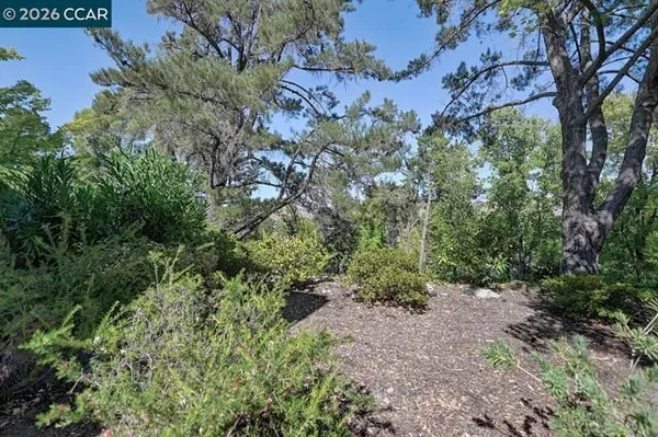 Property Slideshow image 3 of 54 | 1332 running springs rd 8, Walnut Creek, CA, 94595