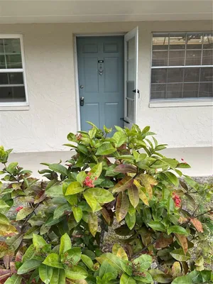 Property Slideshow image 2 of 22 | 821 patricia ave 106, Dunedin, FL, 34698