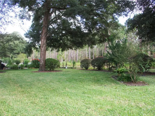 Property Slideshow image 2 of 89 | 14272 sw 112th cir, Dunnellon, FL, 34432