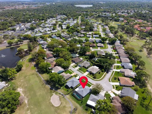 Property Slideshow image 3 of 66 | 1369 gillespie dr, Palm Harbor, FL, 34684