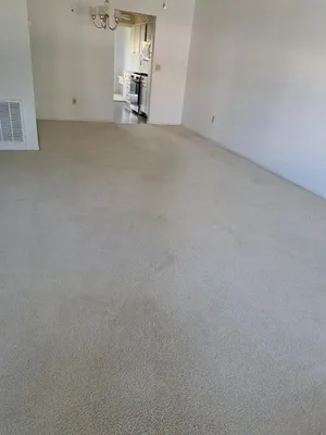 Property Slideshow image 2 of 15 | 7951 58th ave n unit 208, St Petersburg, FL, 33709