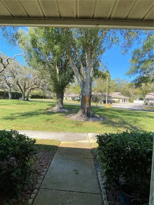 Property Slideshow image 3 of 30 | 1059 dunrobin dr b, Palm Harbor, FL, 34684