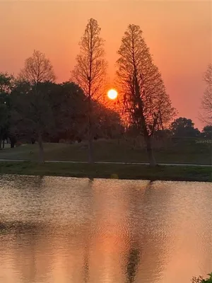 Property Slideshow image 3 of 47 | 915 regal manor way, Sun City Center, FL, 33573