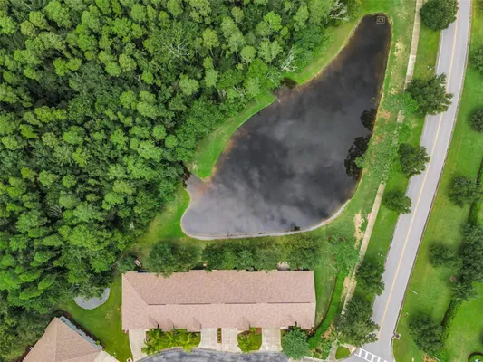 Property Slideshow image 3 of 98 | 1553 arlington oaks ct, New Port Richey, FL, 34655