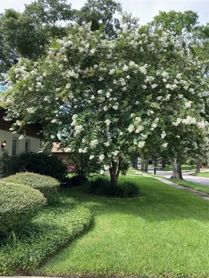 Property Slideshow image 3 of 64 | 2938 macalpin dr, Palm Harbor, FL, 34684