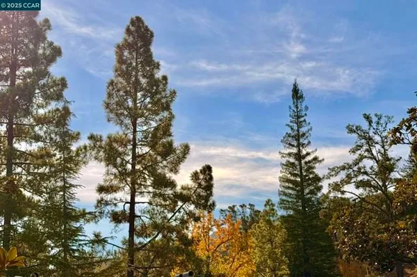 Property Slideshow image 3 of 36 | 1324 singingwood ct 3, Walnut Creek, CA, 94595