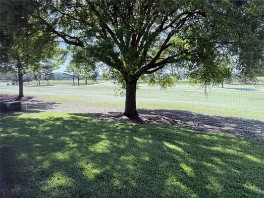 Property Slideshow image 3 of 6 | 16913 se 88th trumbull ter, The Villages, FL, 32162