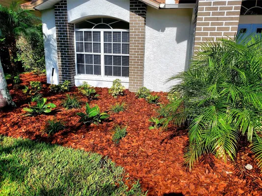 Property Slideshow image 3 of 50 | 1517 morning rose pl, Trinity, FL, 34655