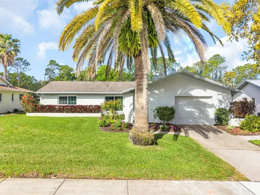 Property Slideshow image 2 of 57 | 2869 doone cir, Palm Harbor, FL, 34684