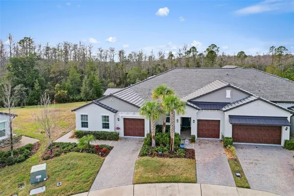 Property Slideshow image 3 of 51 | 16803 forge surf st, Land O Lakes, FL, 34638