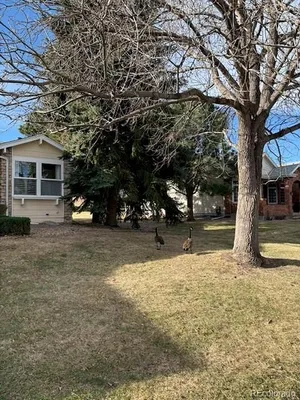 Property Slideshow image 2 of 46 | 4 shetland ct, Highlands Ranch, CO, 80130