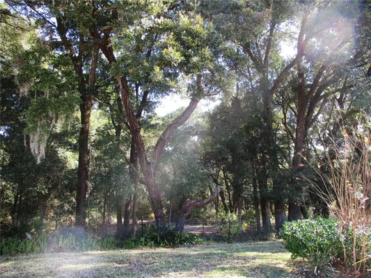 Property Slideshow image 2 of 77 | 14652 sw 112th cir, Dunnellon, FL, 34432