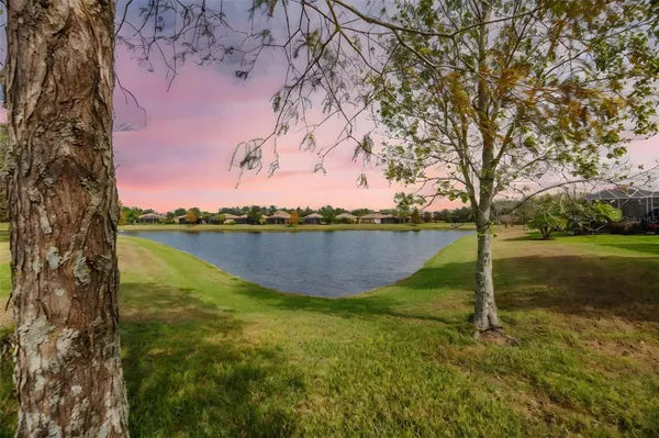 Property Slideshow image 2 of 90 | 336 silver falls dr, Apollo Beach, FL, 33572