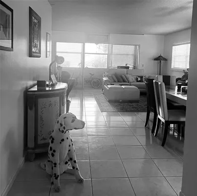 Property Slideshow image 2 of 22 | 800 sw 125th way, Pembroke Pines, FL, 33027