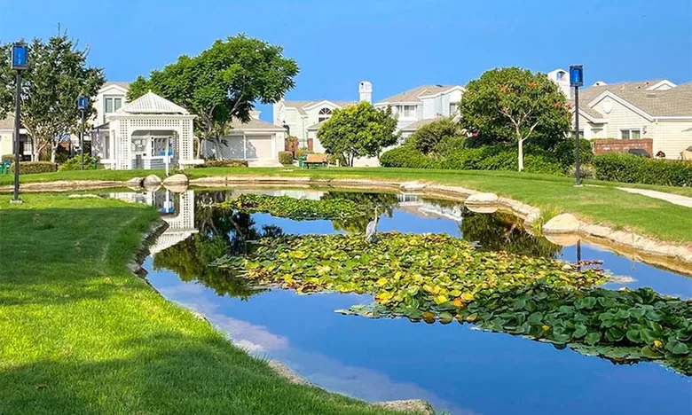 Sea Cliff - Carlsbad CA