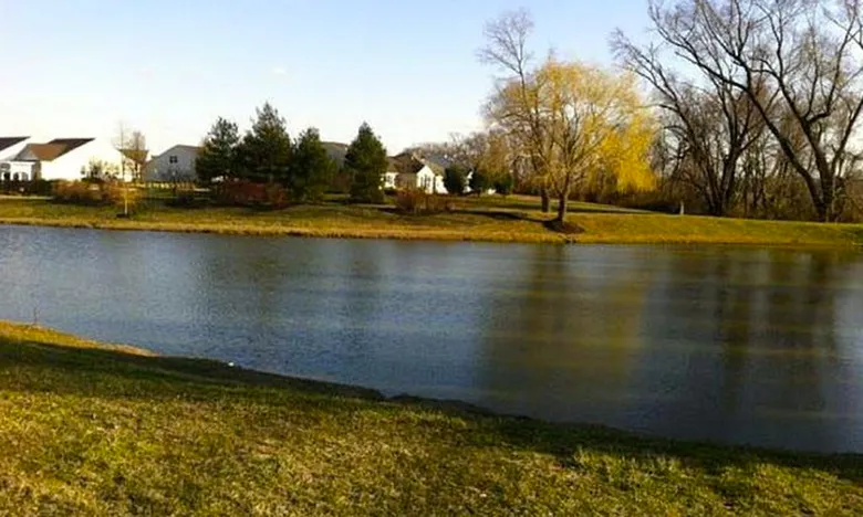 Scenic Pond
