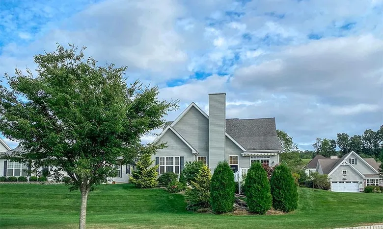 Meadow View Farms - Oley PA