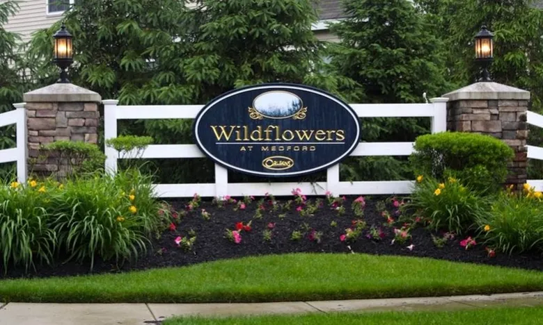 Wildflowers at Medford, NJ