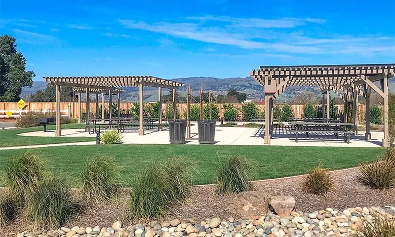 Connemara - Morgan Hill CA