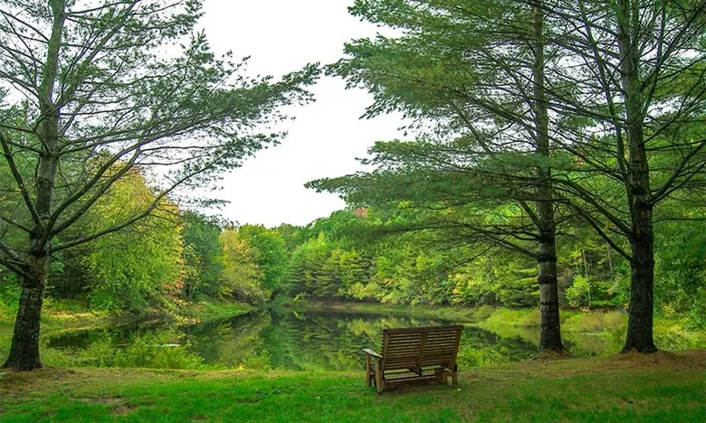 Mountain View Farm - Plymouth NH