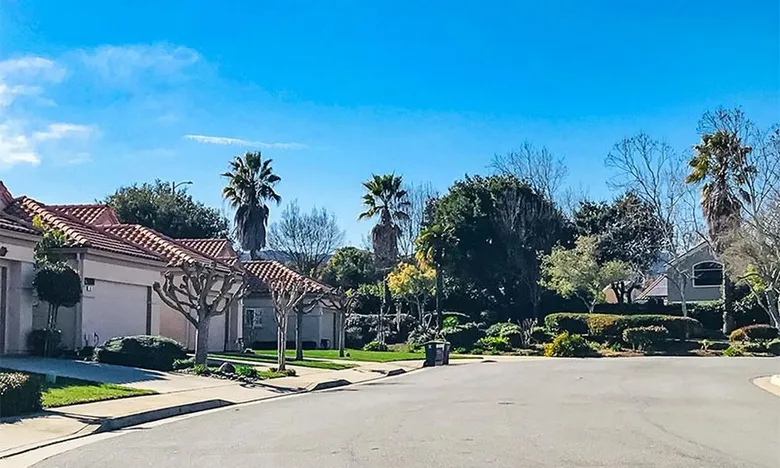 Buena Vista - Morgan Hill CA