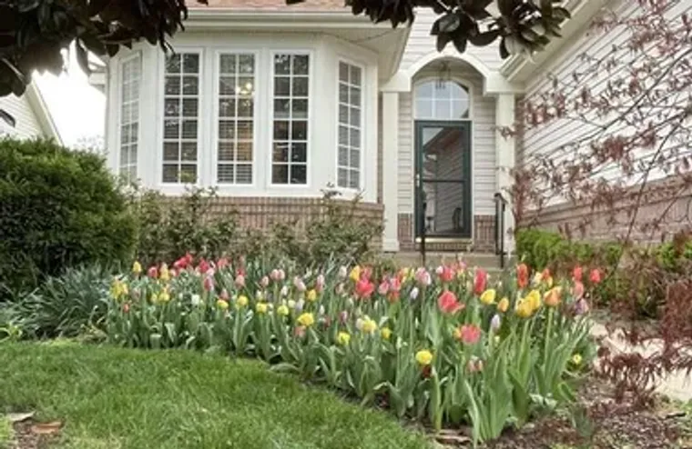 6230 SETTLERS TRAIL PL, GAINESVILLE, VA,..., Gainesville, VA 20155