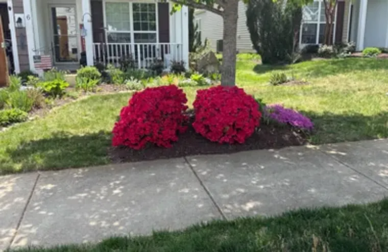 6 WHALEBACK LN, FREDERICKSBURG, VA, 2240..., Fredericksburg, VA 22406