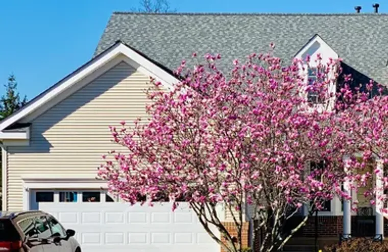 13743 CURRANT LOOP, GAINESVILLE, VA, 201..., Gainesville, VA 20155